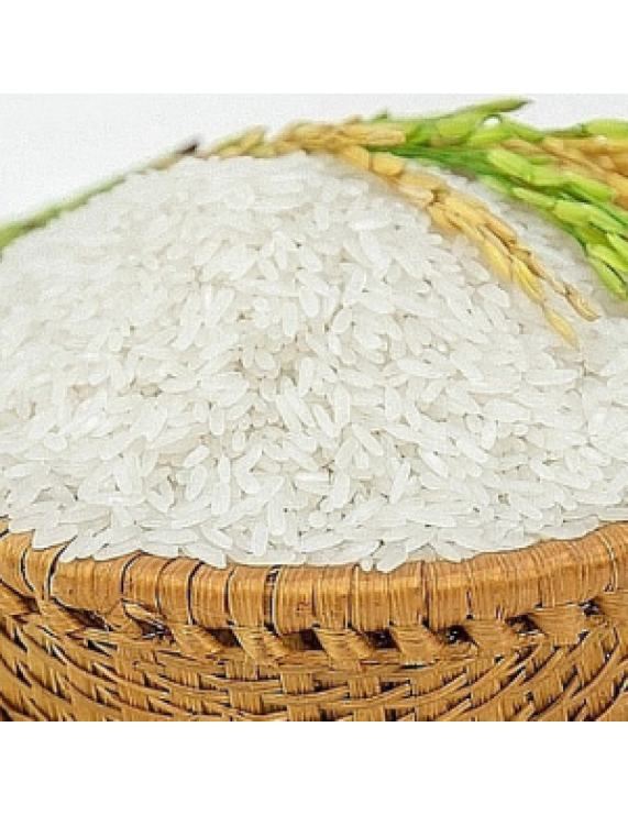 Than Nong Rice CT504