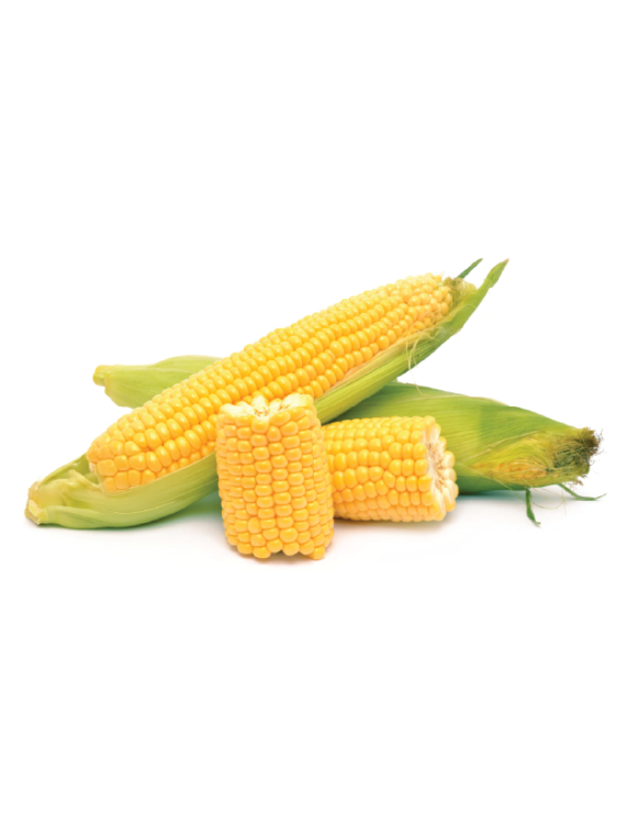 Frozen Sweet Corn