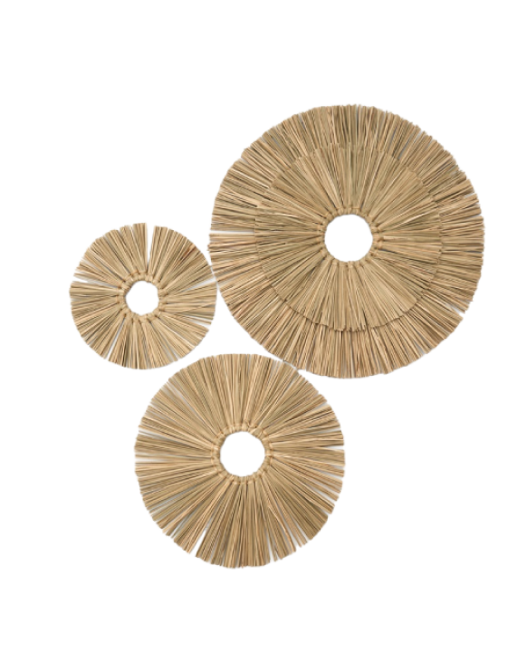 Seagrass Plate Wall Hanging Decor, Art Set