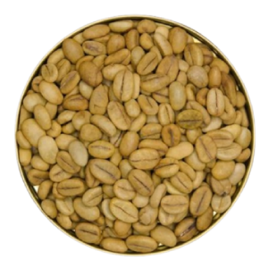 Robusta Coffee Seeds for Cultivation – TR9 Variety