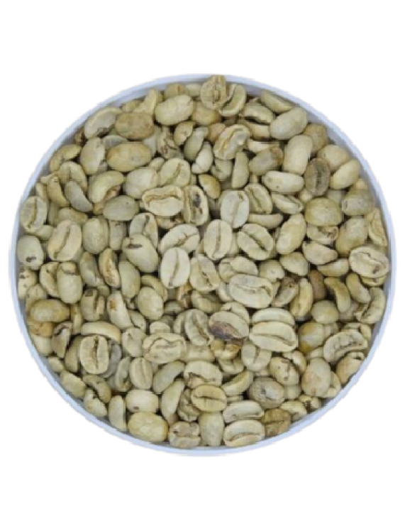 Arabica Coffee Fully Washed Grade 2 – Commercial Arabica Coffee