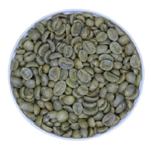 Arabica S18 Fully Washed - Arabica Specialty