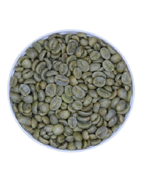 Arabica S18 Fully Washed - Arabica Specialty