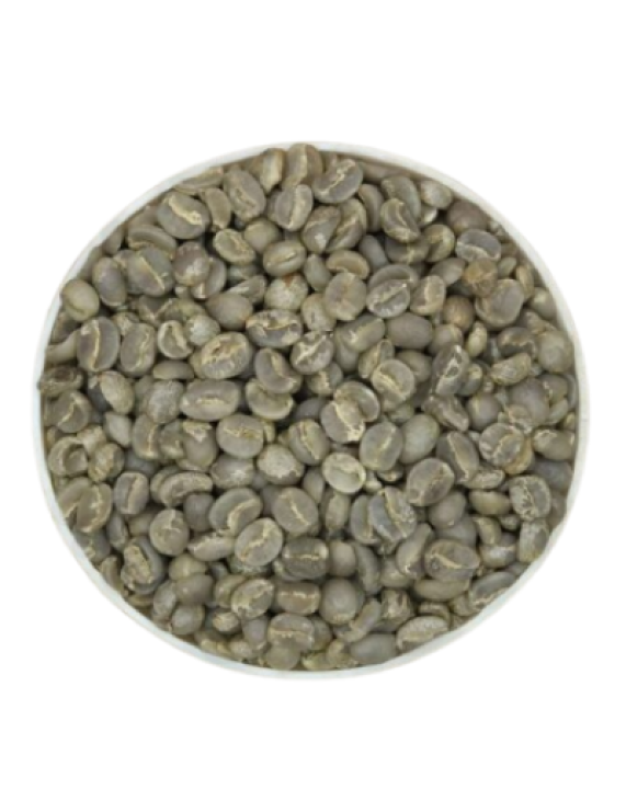 Moka Coffee - Specialty Arabica Moka Coffee Beans S16+