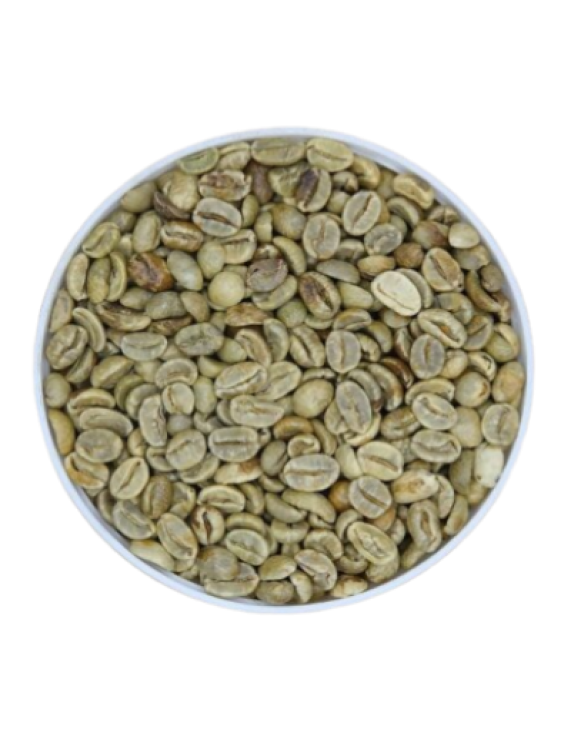 Natural Arabica Coffee Beans - Arabica Fermented Natural Processing
