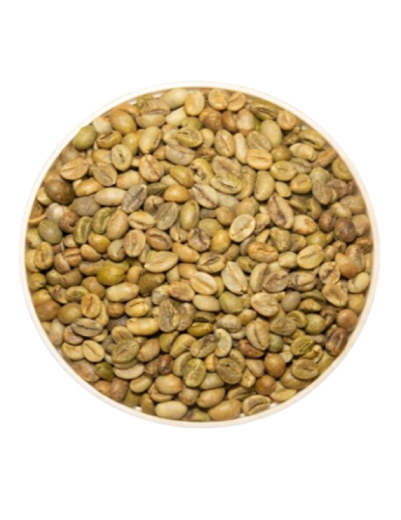 Cleaned Robusta Green Coffee Beans Unwashed Natural