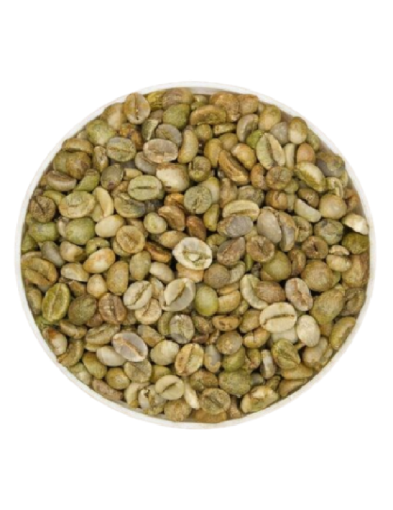 Robusta Clean New Crop (Grade 1)