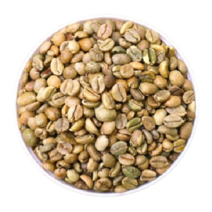 Robusta Clean S16 S18 (Grade 1)