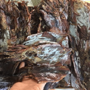 Dried Black Squid origin Viet Nam