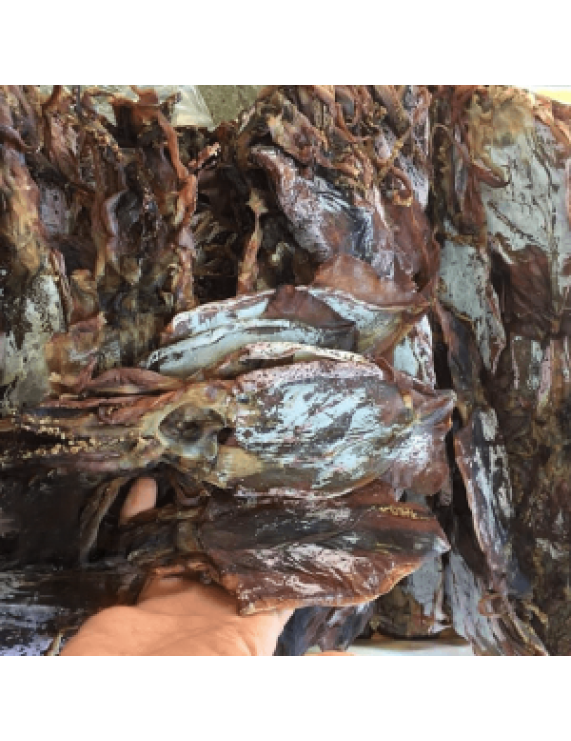 Dried Black Squid origin Viet Nam