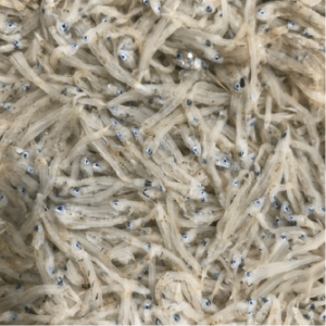 Dried Boiled Chirimen