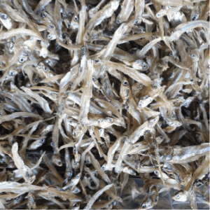 Dried White Anchovy by Sunshine