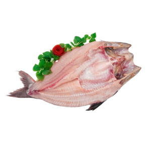 Butterfly Pangasius