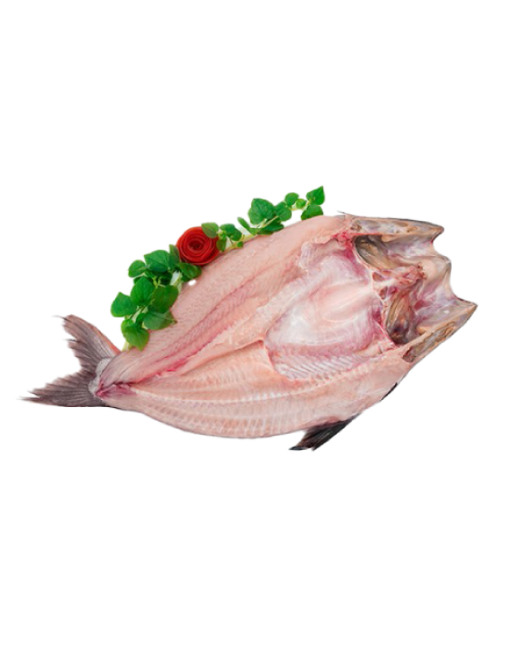 Butterfly Pangasius