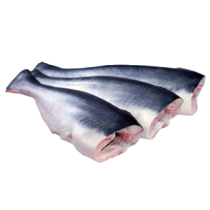 Pangasius HGT