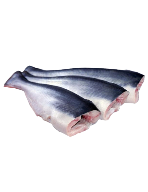 Pangasius HGT