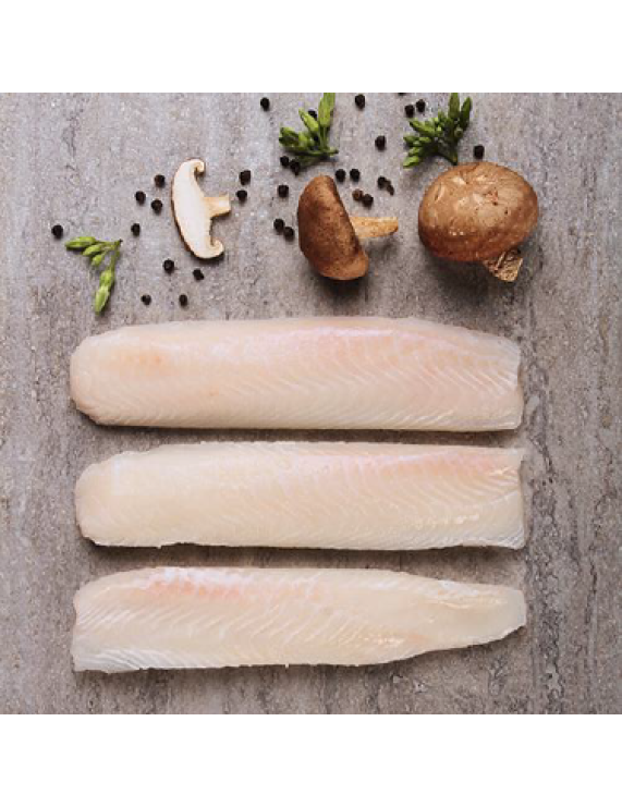 Pangasius Loin