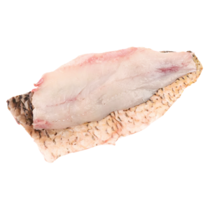 Sea Carp Fillets