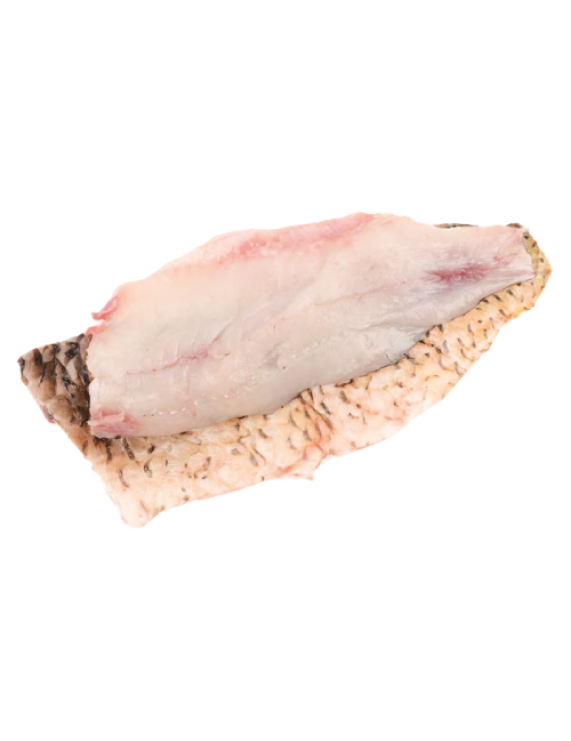 Sea Carp Fillets