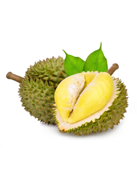 Ri6 Durian