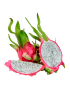 White Flesh Dragon Fruit