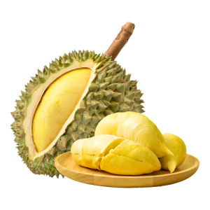 Mongthong Durian