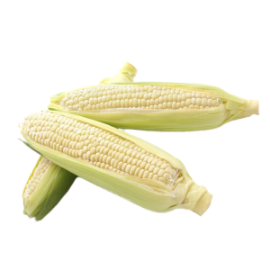 Frozen Boiled Glutinous Corn
