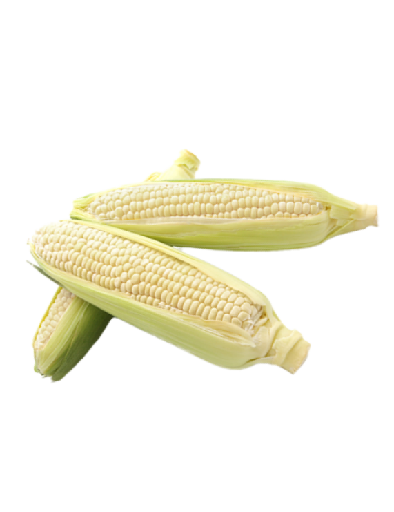 Frozen Boiled Glutinous Corn