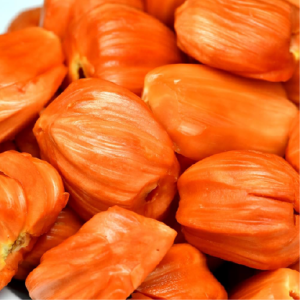 Frozen Red Jackfruit Pods