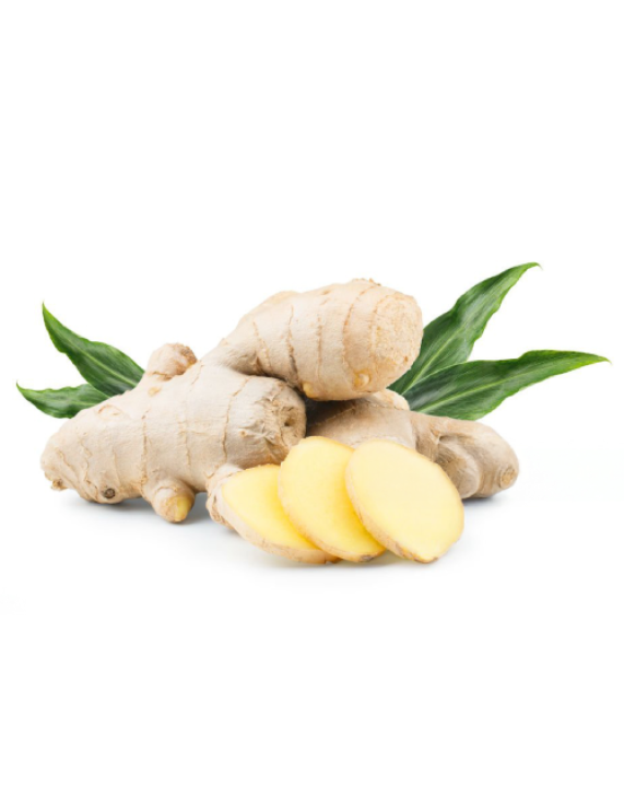 Ginger
