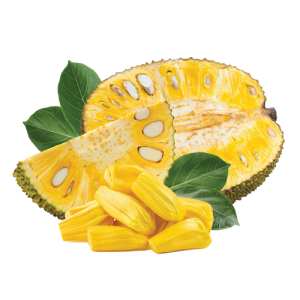 Yellow Jackfruit