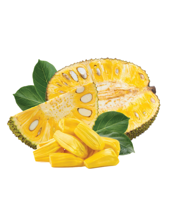 Yellow Jackfruit