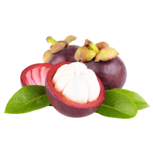 Mangosteen