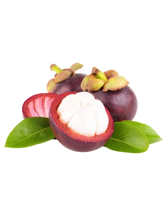 Mangosteen