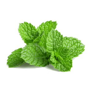 Mint Leaf