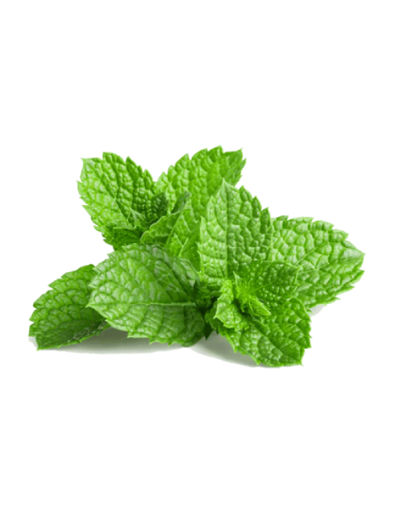 Mint Leaf
