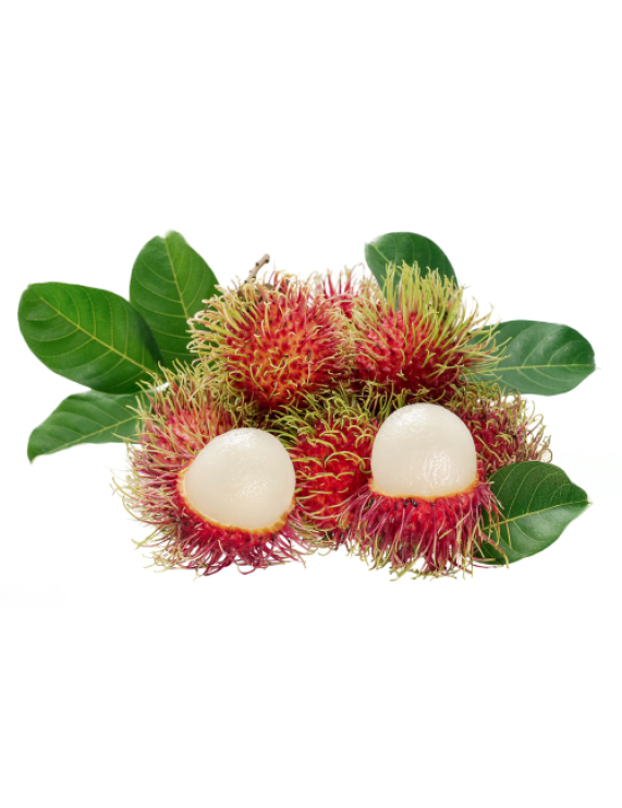 Nhan Rambutan