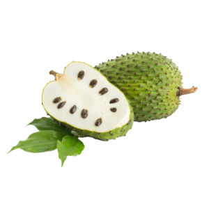 Soursop