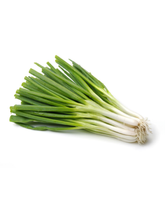 Spring Onion
