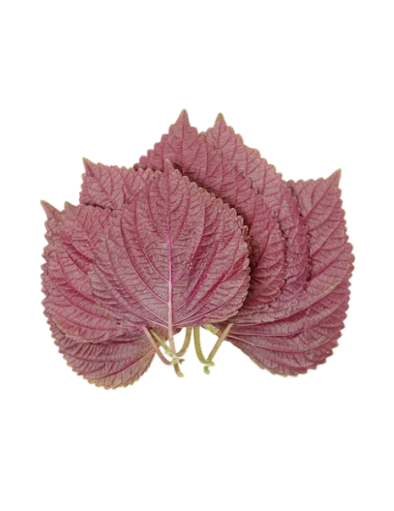 Perilla
