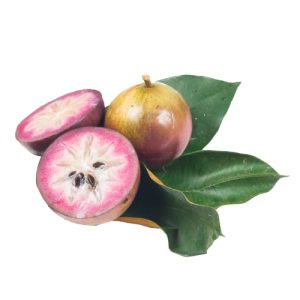 Purple Star Apple