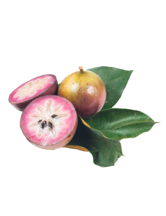 Purple Star Apple