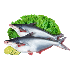 Basa Fish