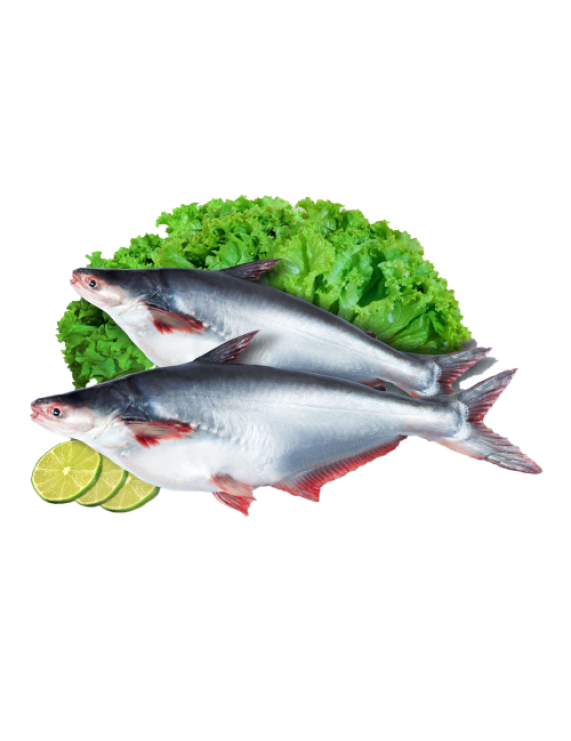 Basa Fish