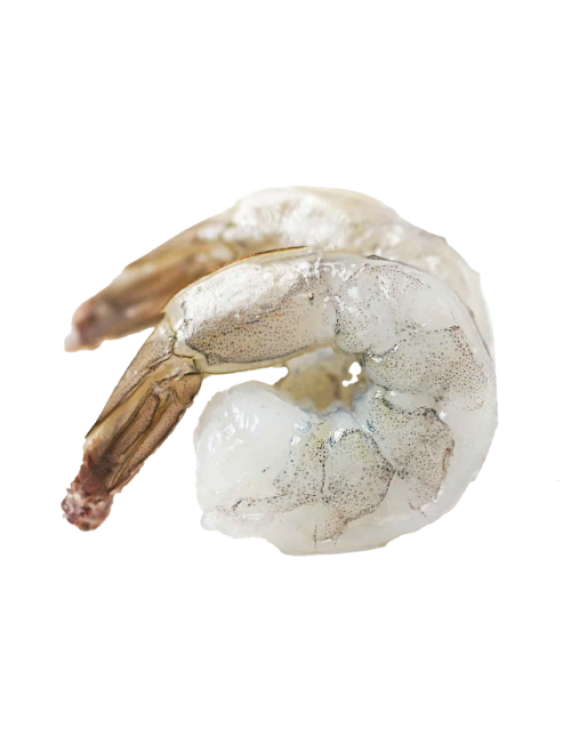 Black Tiger Shrimp Cooked Peeled and Deveined Tail On
