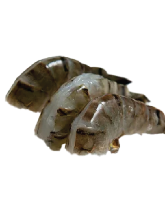 Black Tiger Shrimp EZ-PEEL
