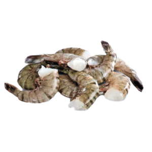 Black Tiger Shrimp HLSO