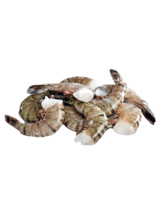 Black Tiger Shrimp HLSO
