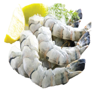 Black Tiger Shrimp PDTO