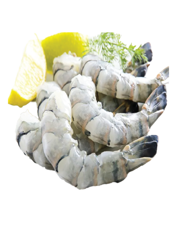 Black Tiger Shrimp PDTO